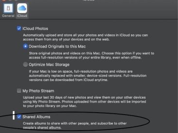 Is Apple Having a Problem Today? Check Service Status & Updates